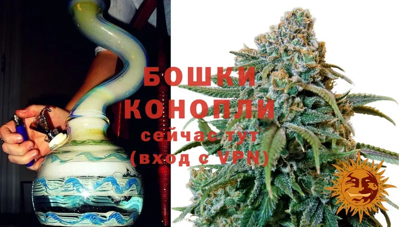 Бошки марихуана THC 21%  Камешково 